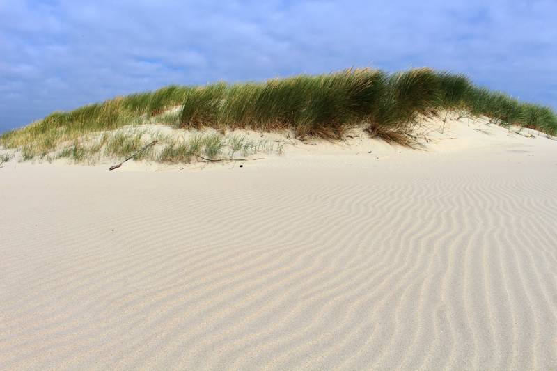 Strandurlaub Callantsoog LekkerNaarZee